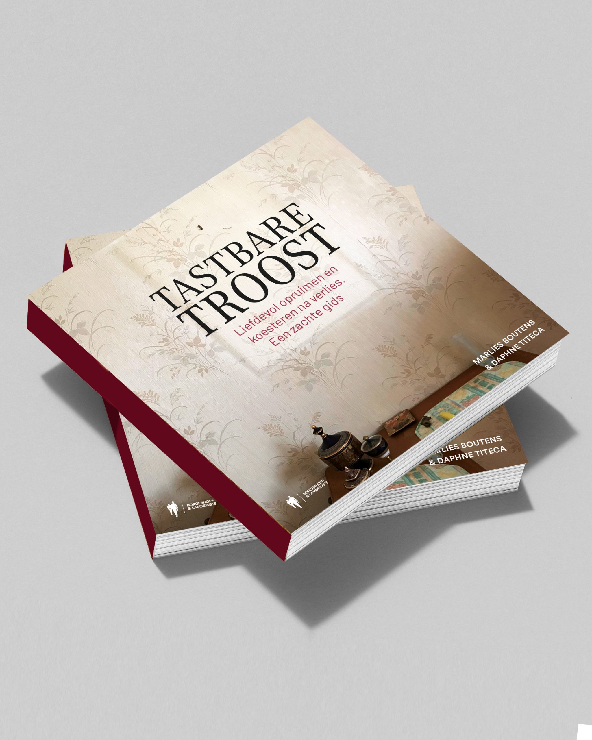 Boek Tastbare Troost - Daphne Titeca